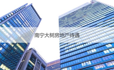 南寧大樹(shù)房地產(chǎn)待遇及二手日用百貨銷售前景淺析